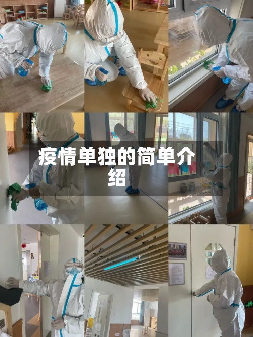 疫情单独的简单介绍
