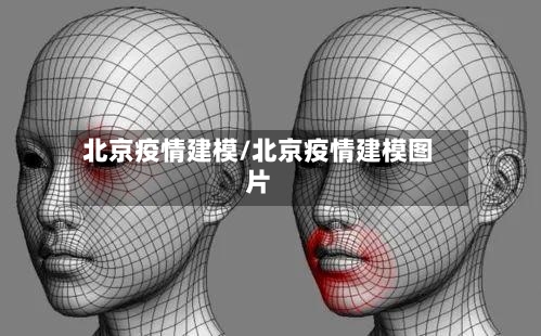 北京疫情建模/北京疫情建模图片