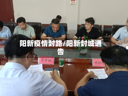 阳新疫情封路/阳新封城通告