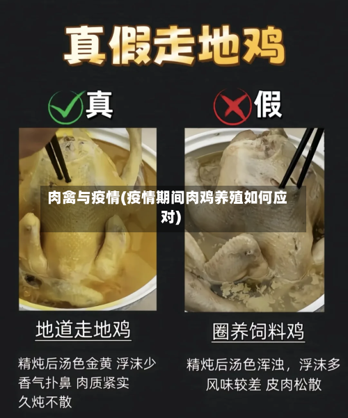 肉禽与疫情(疫情期间肉鸡养殖如何应对)