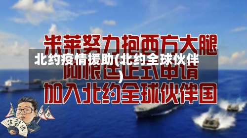 北约疫情援助(北约全球伙伴)-第2张图片