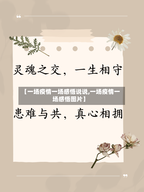 【一场疫情一场感悟说说,一场疫情一场感悟图片】