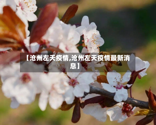 【沧州左天疫情,沧州左天疫情最新消息】-第3张图片