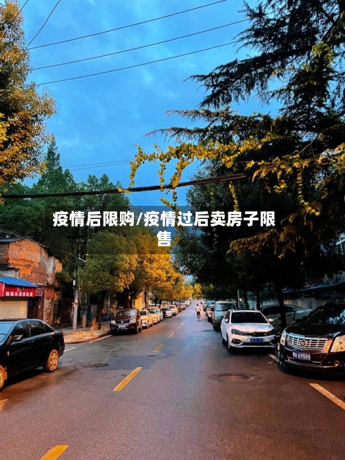 疫情后限购/疫情过后卖房子限售