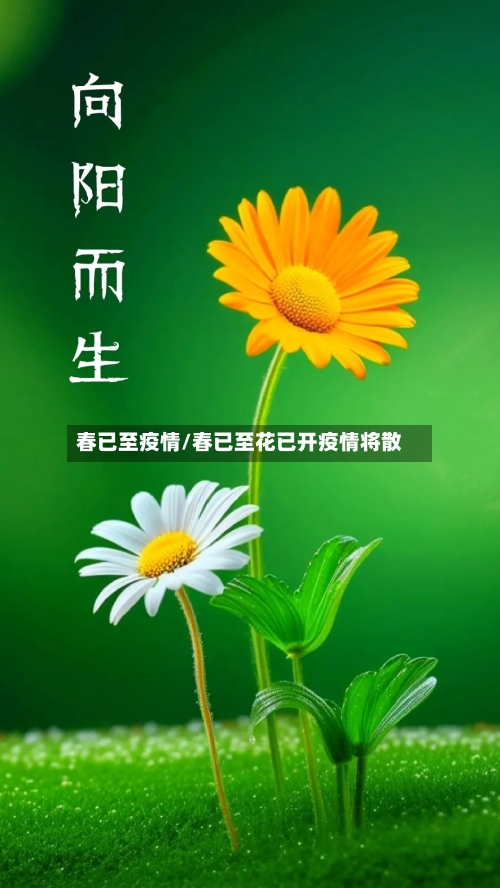 春已至疫情/春已至花已开疫情将散