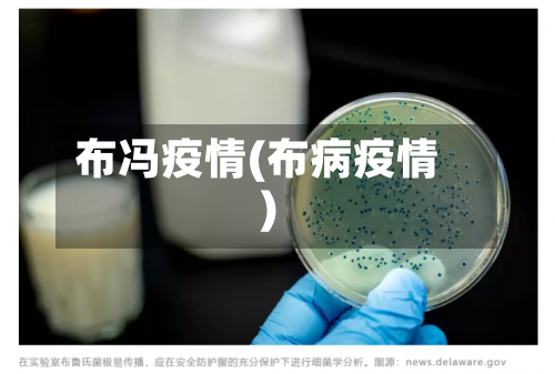 布冯疫情(布病疫情)