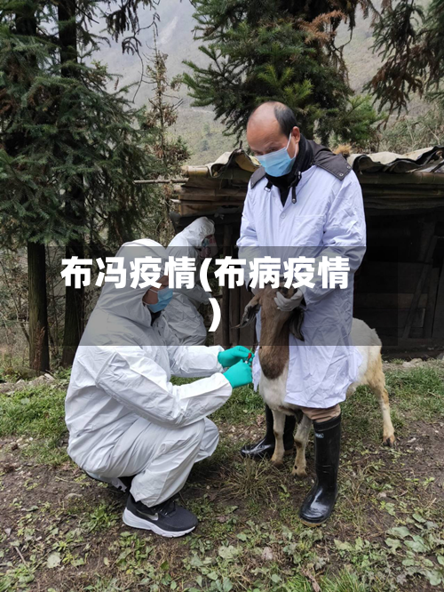 布冯疫情(布病疫情)-第3张图片