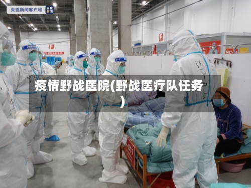 疫情野战医院(野战医疗队任务)-第2张图片
