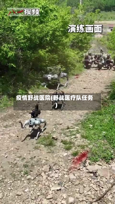 疫情野战医院(野战医疗队任务)