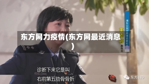 东方网力疫情(东方网最近消息)-第2张图片