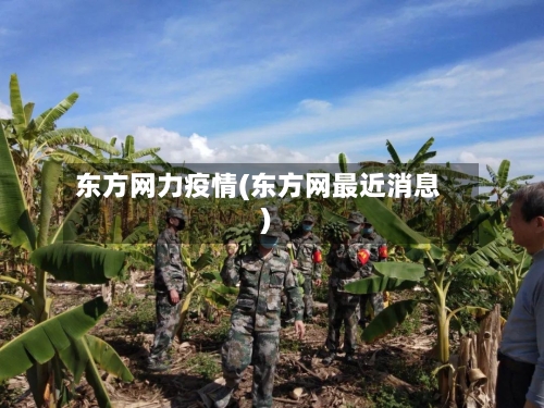 东方网力疫情(东方网最近消息)