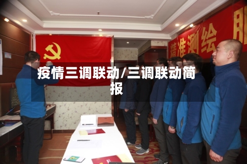 疫情三调联动/三调联动简报