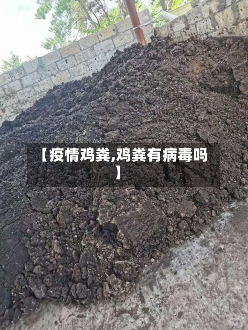 【疫情鸡粪,鸡粪有病毒吗】-第2张图片