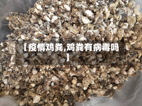 【疫情鸡粪,鸡粪有病毒吗】