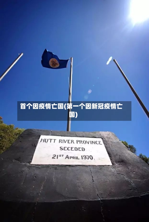 首个因疫情亡国(第一个因新冠疫情亡国)-第3张图片