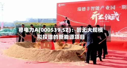 粤电力A(000539.SZ):暂无大规模拟投建的新能源项目-第2张图片