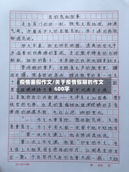 疫情塞假作文/关于疫情假期的作文600字-第3张图片