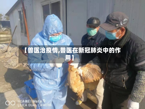 【兽医治疫情,兽医在新冠肺炎中的作用】