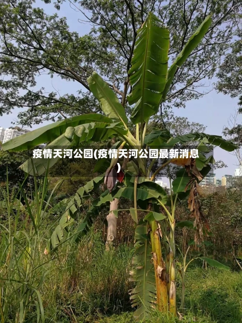 疫情天河公园(疫情天河公园最新消息)