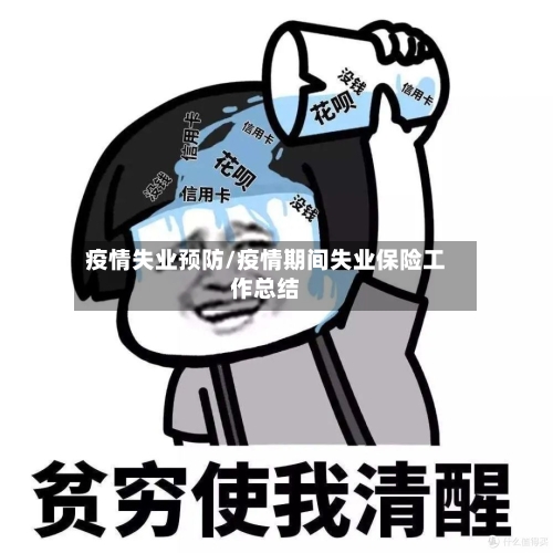 疫情失业预防/疫情期间失业保险工作总结