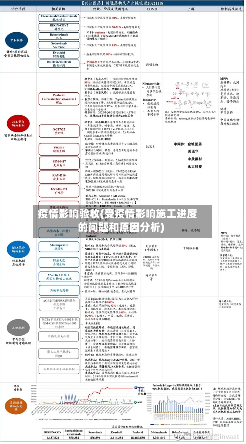 疫情影响验收(受疫情影响施工进度的问题和原因分析)