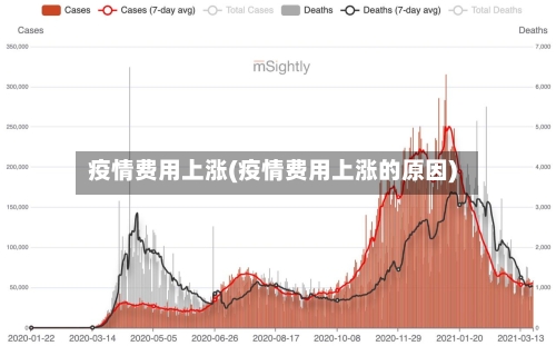 疫情费用上涨(疫情费用上涨的原因)