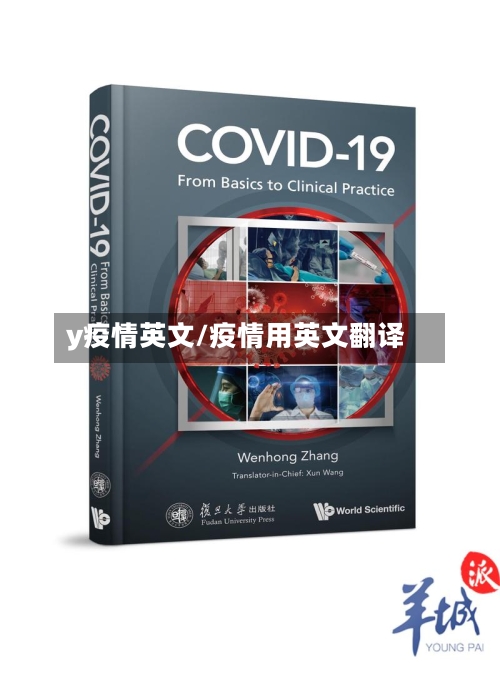 y疫情英文/疫情用英文翻译-第3张图片