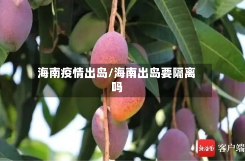 海南疫情出岛/海南出岛要隔离吗