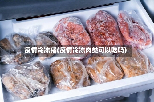 疫情冷冻猪(疫情冷冻肉类可以吃吗)