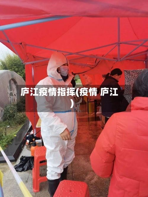 庐江疫情指挥(疫情 庐江)
