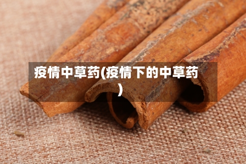 疫情中草药(疫情下的中草药)