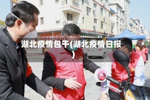 湖北疫情包干(湖北疫情日报)
