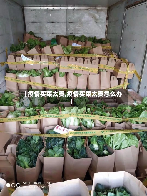 【疫情买菜太贵,疫情买菜太贵怎么办】