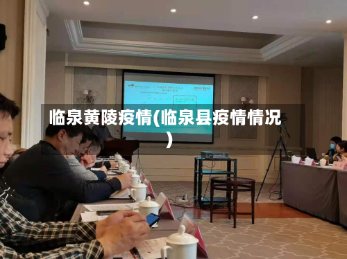 临泉黄陵疫情(临泉县疫情情况)-第2张图片