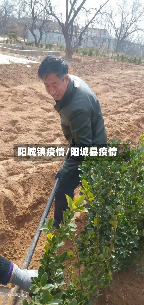 阳城镇疫情/阳城县疫情-第2张图片