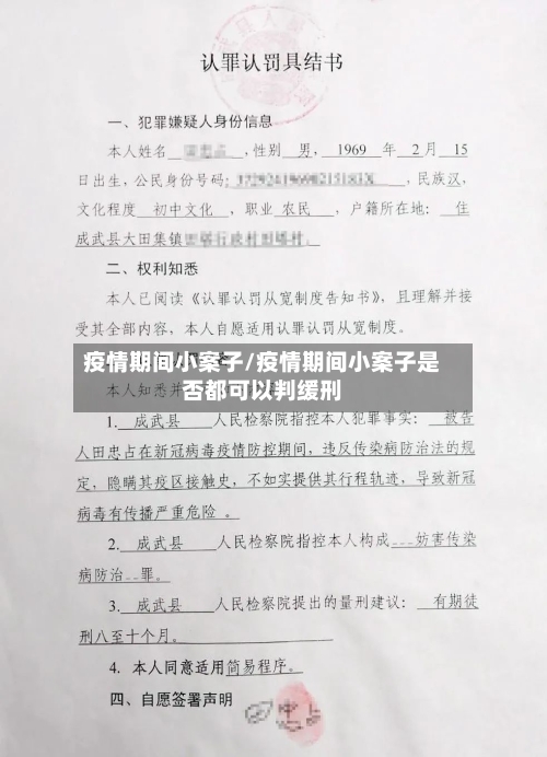 疫情期间小案子/疫情期间小案子是否都可以判缓刑-第2张图片