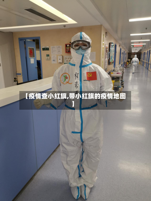 【疫情查小红旗,带小红旗的疫情地图】-第2张图片