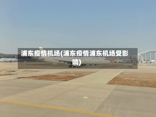 浦东疫情机场(浦东疫情浦东机场受影响)