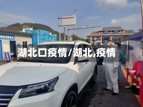 湖北口疫情/湖北,疫情