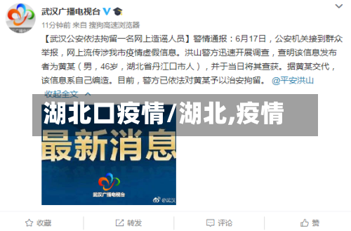 湖北口疫情/湖北,疫情-第3张图片