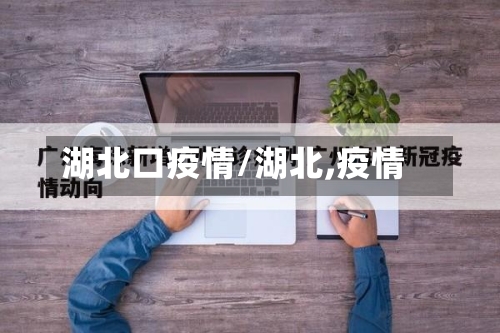 湖北口疫情/湖北,疫情-第2张图片