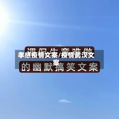 孝感疫情文案/疫情武汉文案-第3张图片