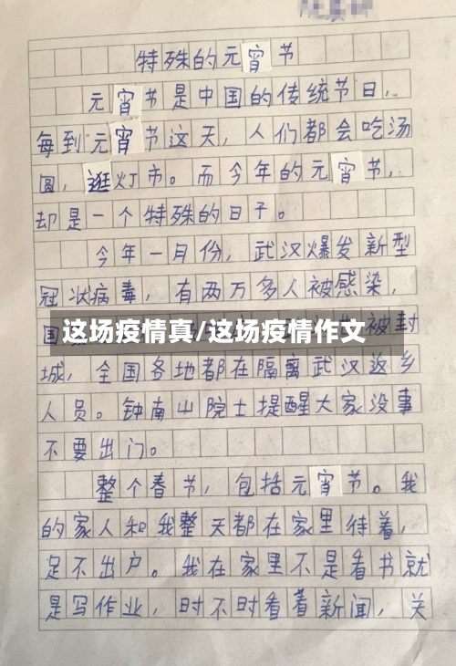 这场疫情真/这场疫情作文
