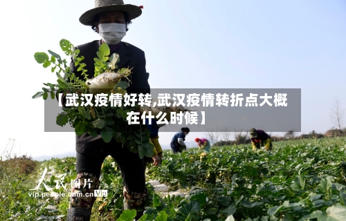 【武汉疫情好转,武汉疫情转折点大概在什么时候】-第2张图片