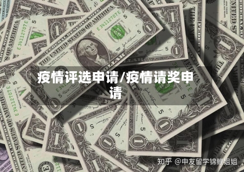 疫情评选申请/疫情请奖申请-第2张图片