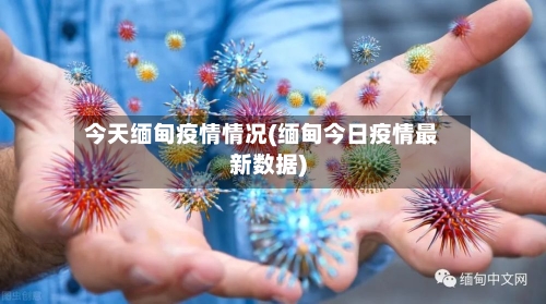 今天缅甸疫情情况(缅甸今日疫情最新数据)