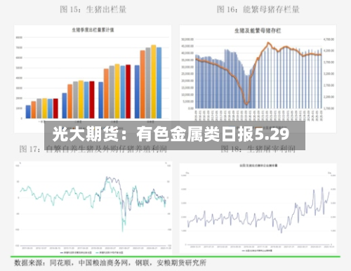 光大期货：有色金属类日报5.29