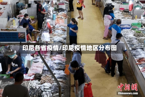 印尼各省疫情/印尼疫情地区分布图
