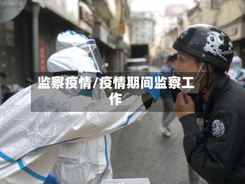 监察疫情/疫情期间监察工作