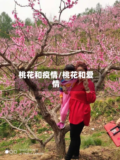 桃花和疫情/桃花和爱情-第3张图片